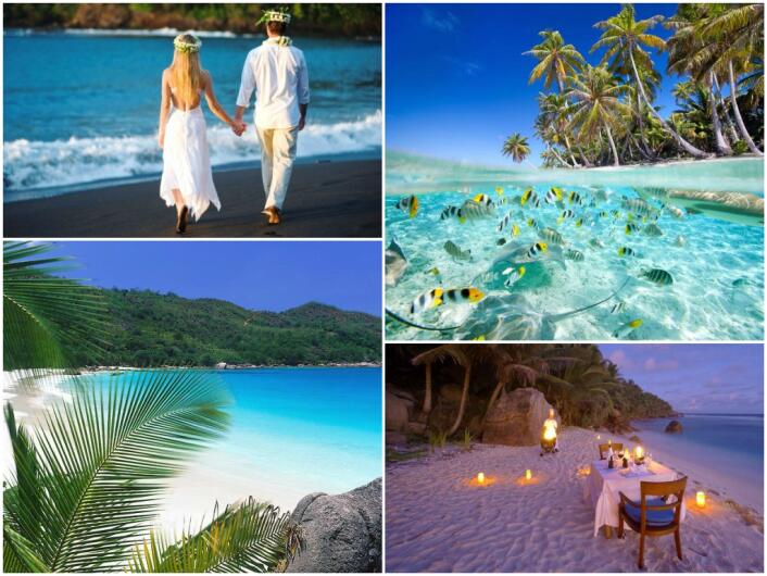 свадьба на сейшельских островах